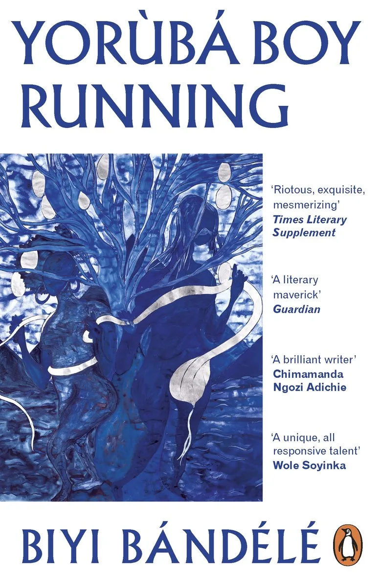 Yorùbá Boy Running von Penguin – Buchfoto
