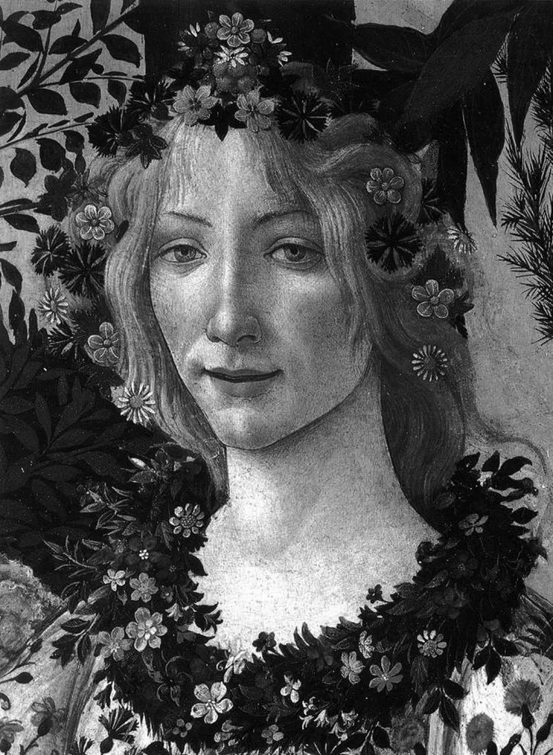 Botticelli van Phaidon – boekfoto