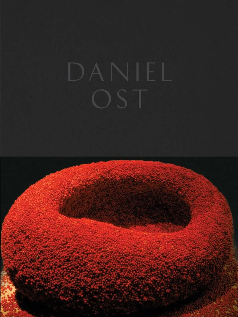 Daniel Ost van Phaidon – boekfoto