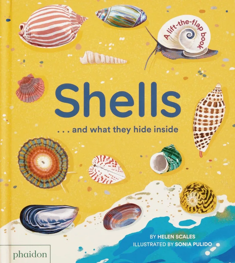 Shells... and what they hide inside von Phaidon – Buchfoto