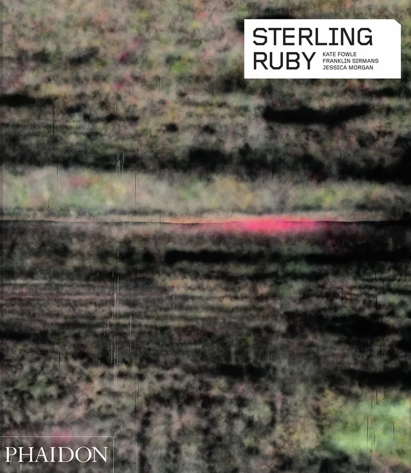 Sterling Ruby fra Phaidon – billede af bogen