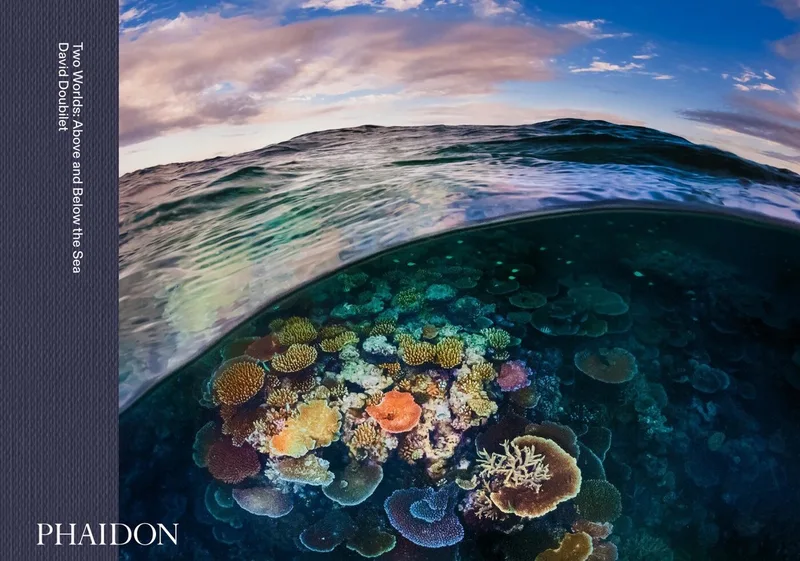 Two Worlds van Phaidon – boekfoto