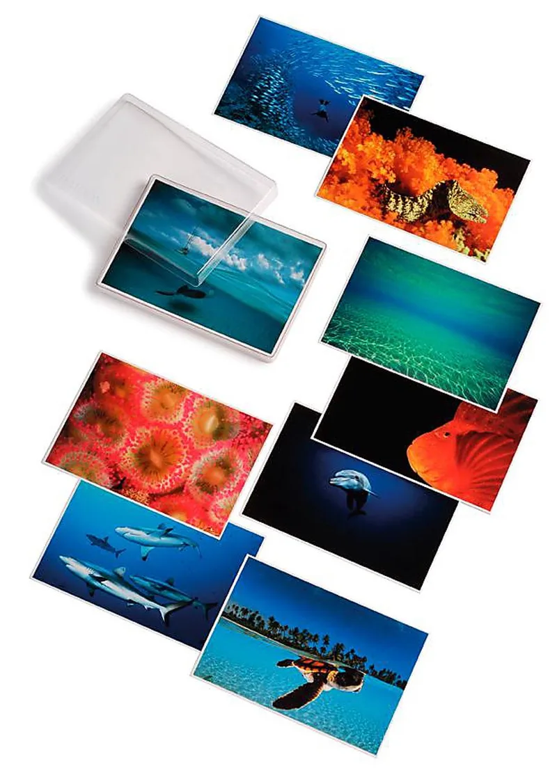 Water Light Time Postcards von Phaidon – Buchfoto