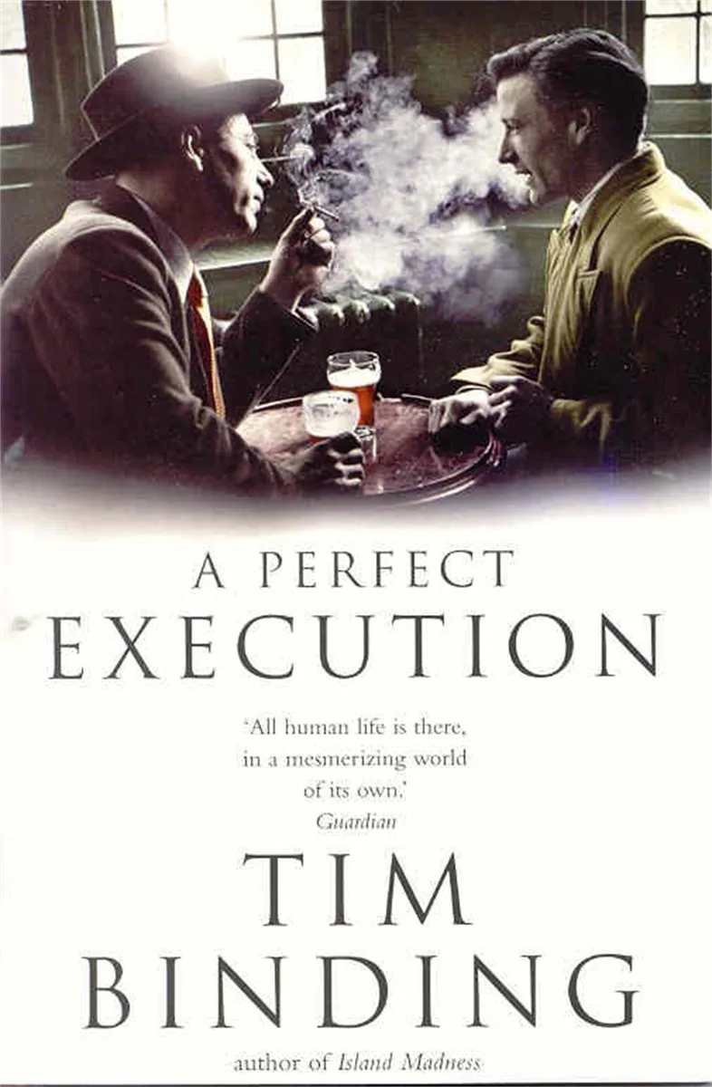 A Perfect Execution fra Picador – billede af bogen