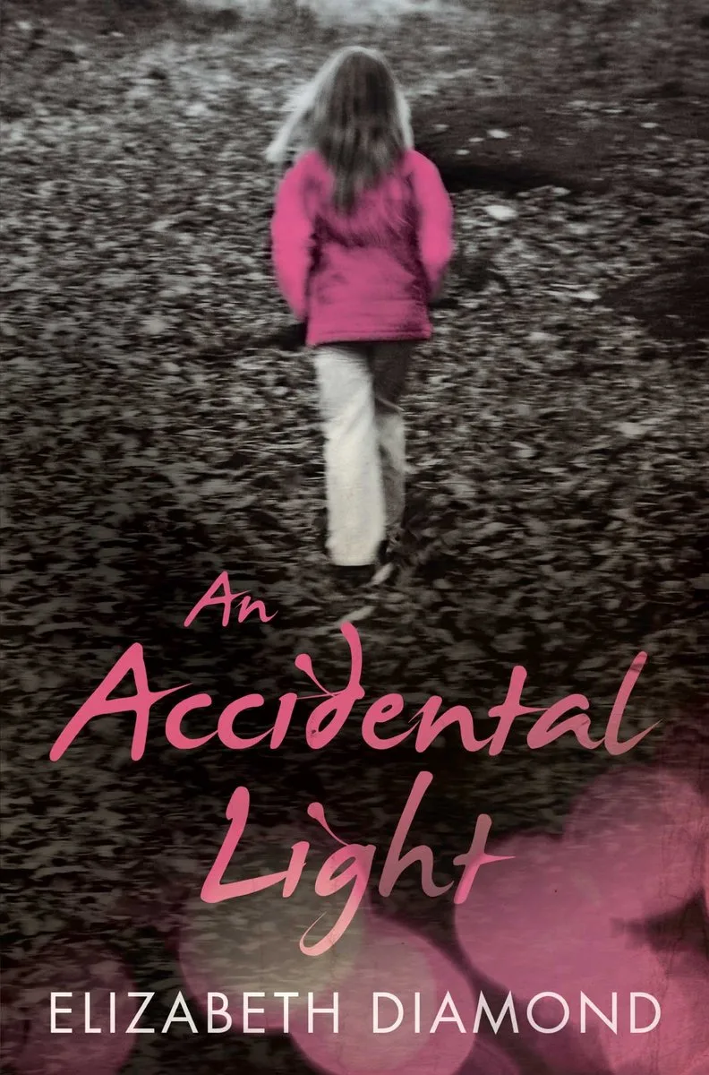 An Accidental Light von Picador – Buchfoto
