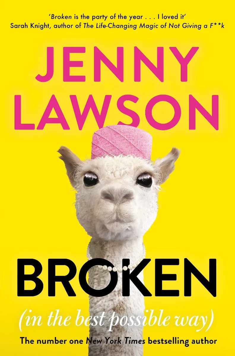 Broken fra Picador – billede af bogen