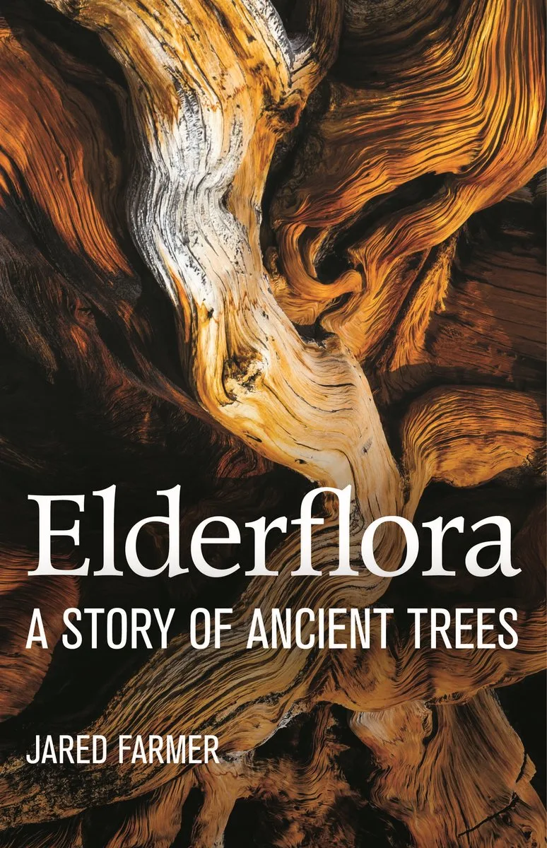 Elderflora von Picador – Buchfoto