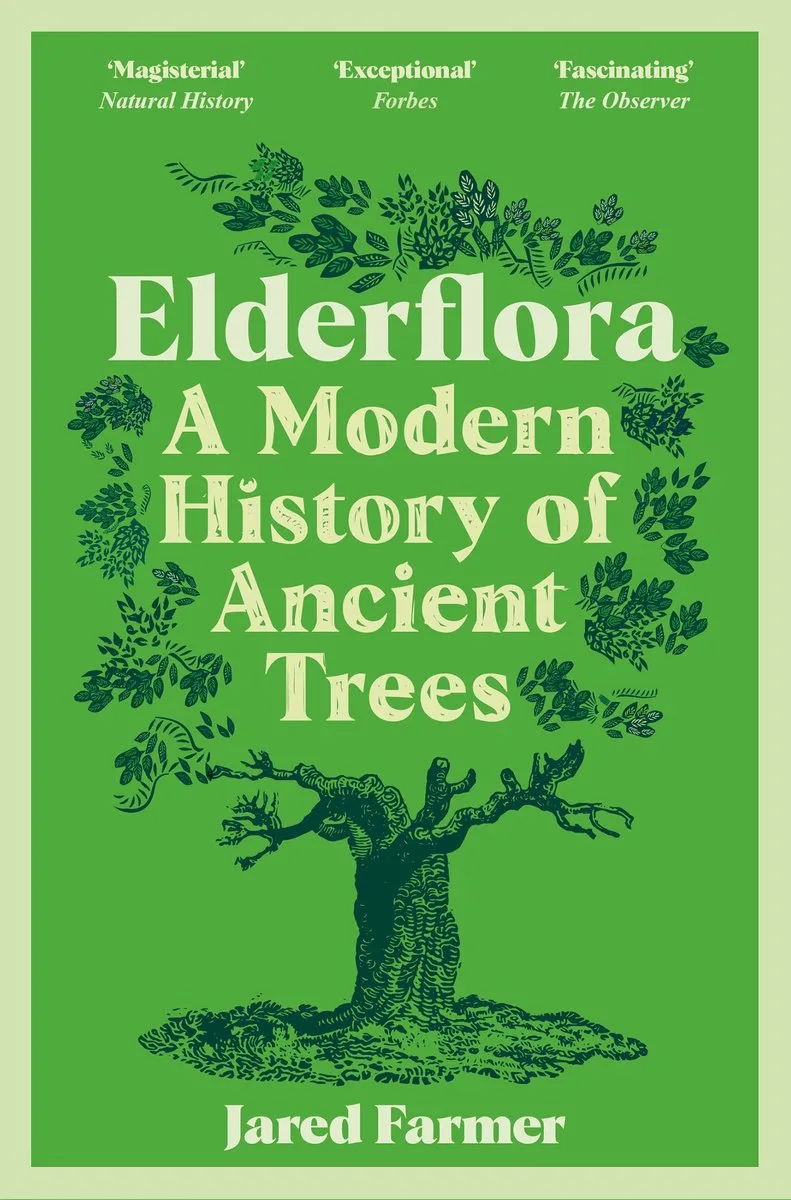 Elderflora von Picador – Buchfoto