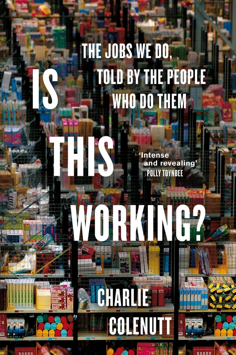 Is This Working? fra Picador – billede af bogen