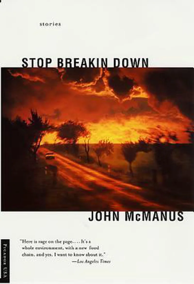 Stop Breakin Down von Picador – Buchfoto