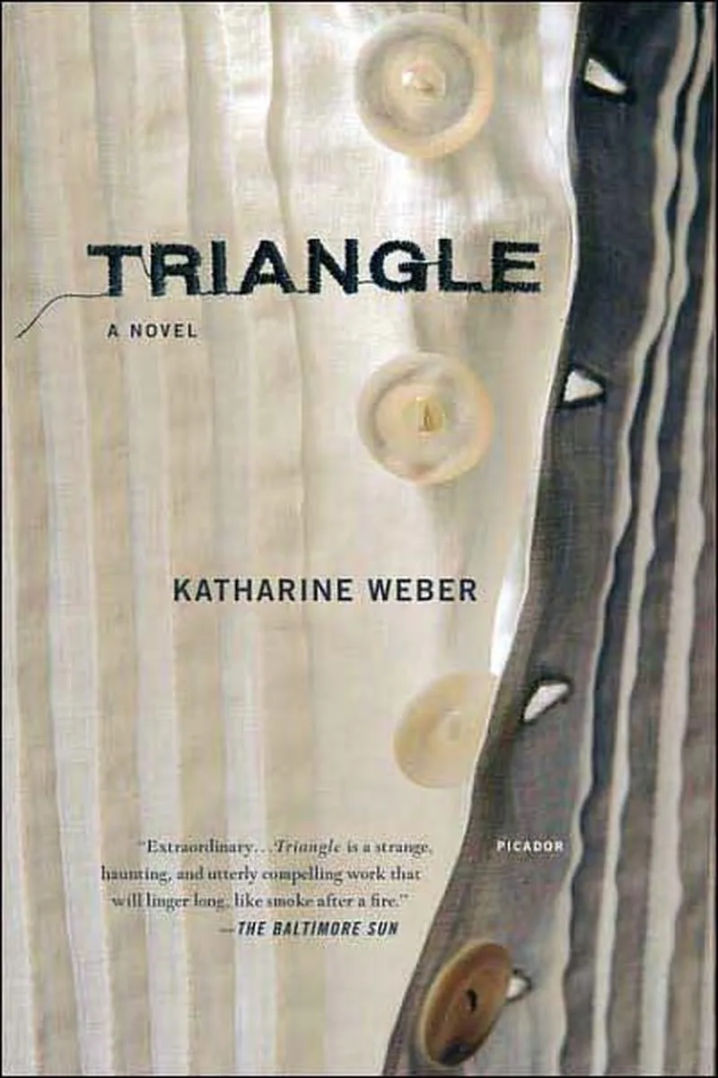 Triangle fra Picador – billede af bogen