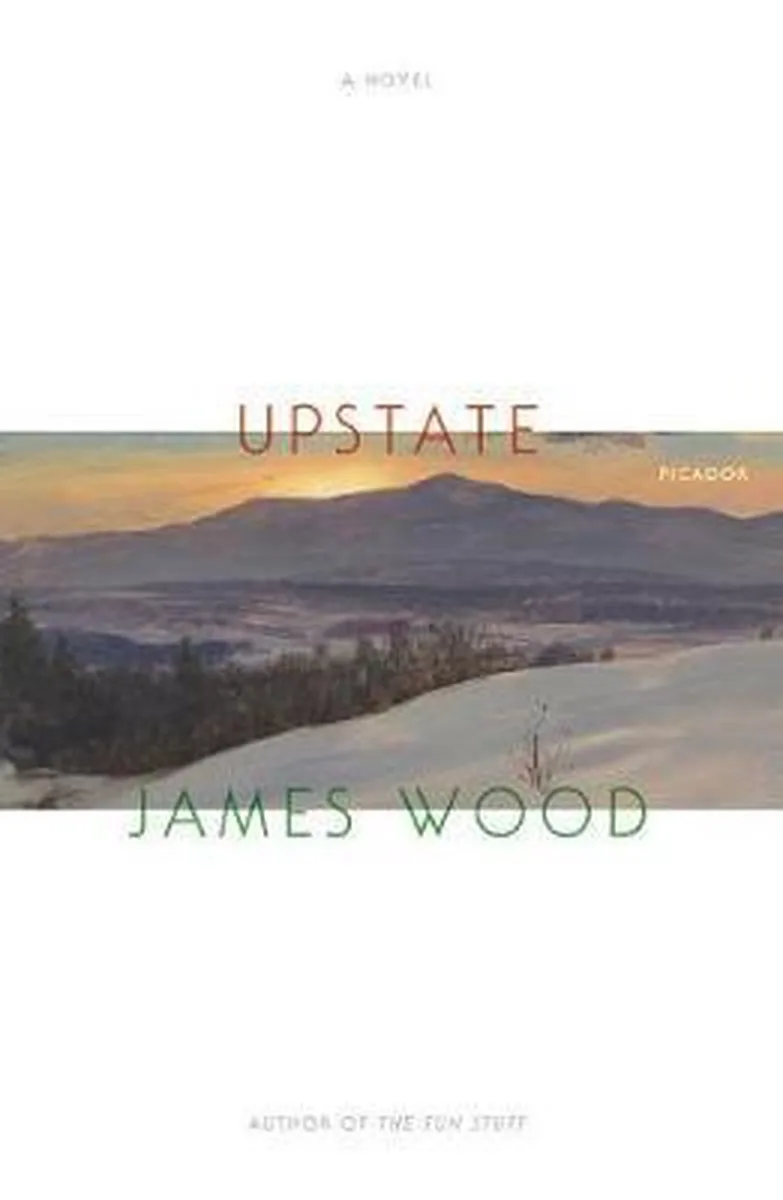 Upstate von Picador – Buchfoto