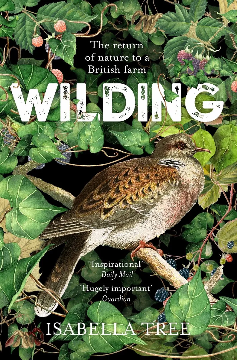 Wilding von Picador – Buchfoto