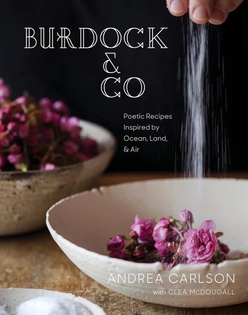 Burdock & Co von Plume – Buchfoto