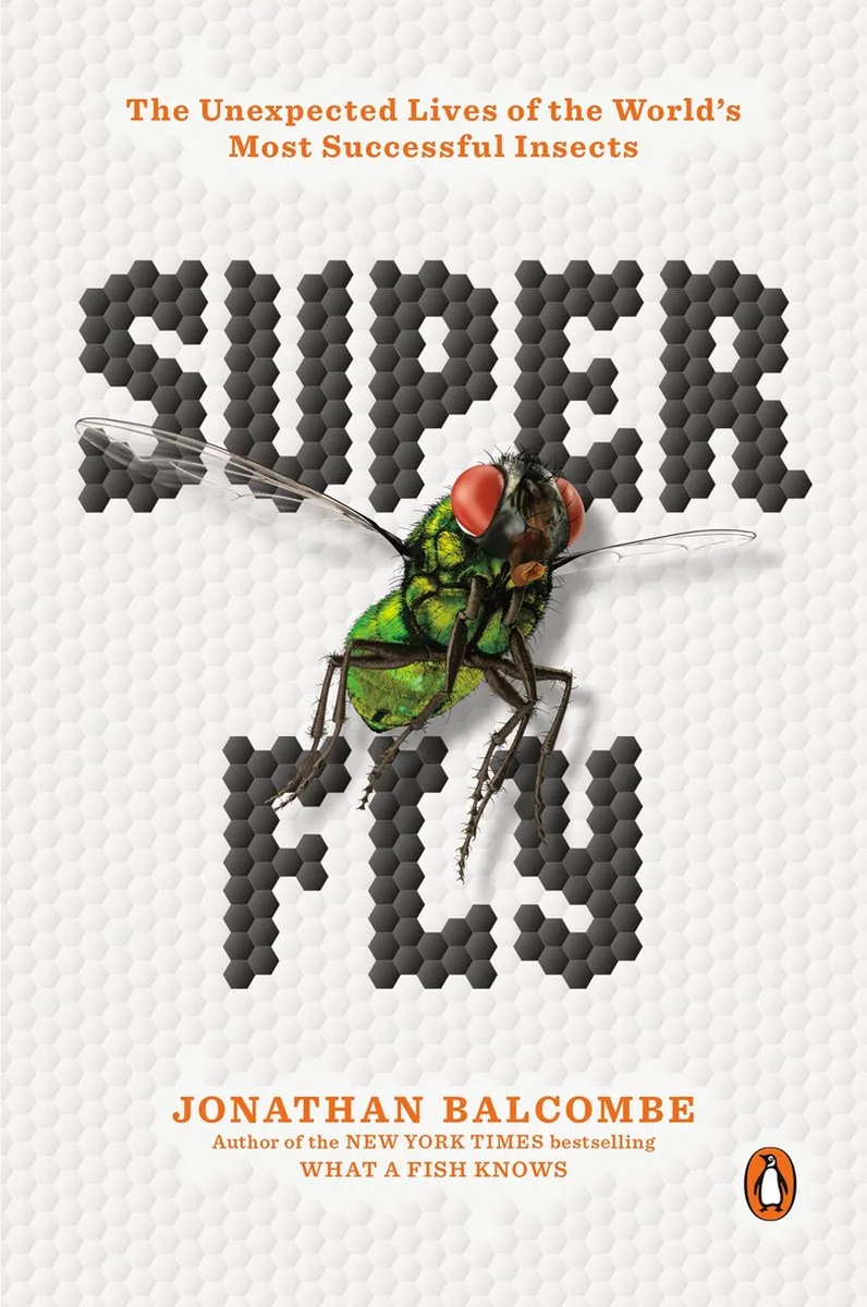 Super Fly von Plume – Buchfoto