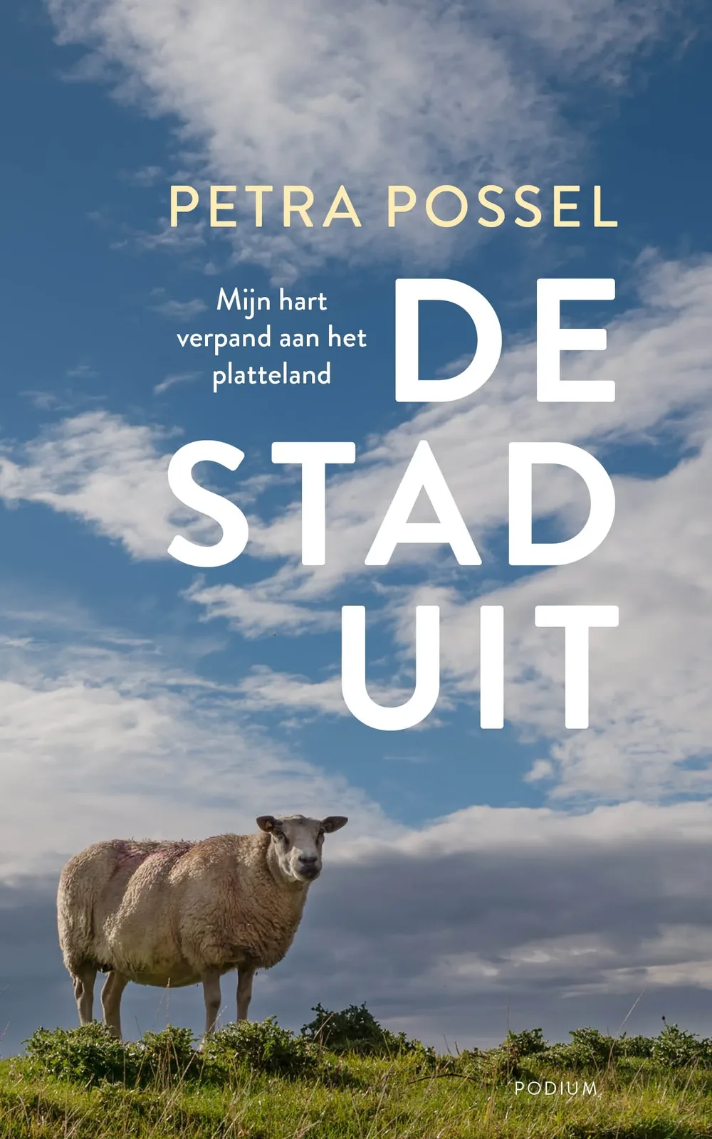 De stad uit van Podium – boekfoto