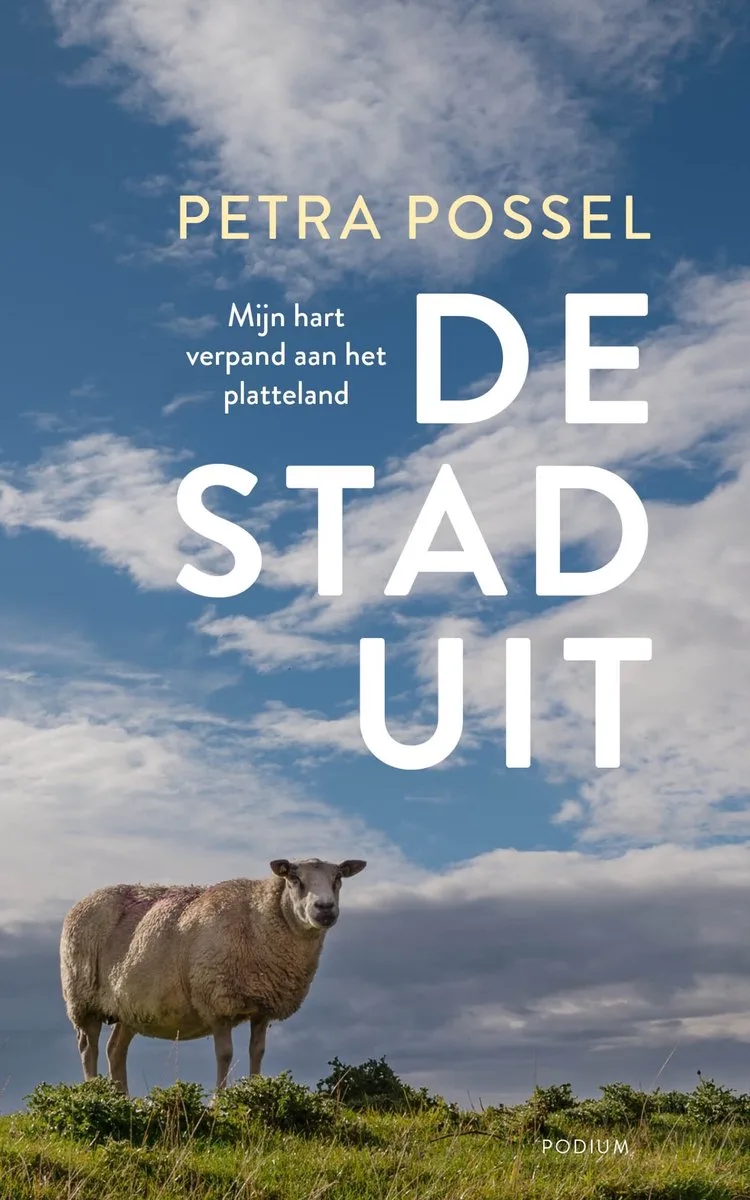 De stad uit de Podium – photo du livre