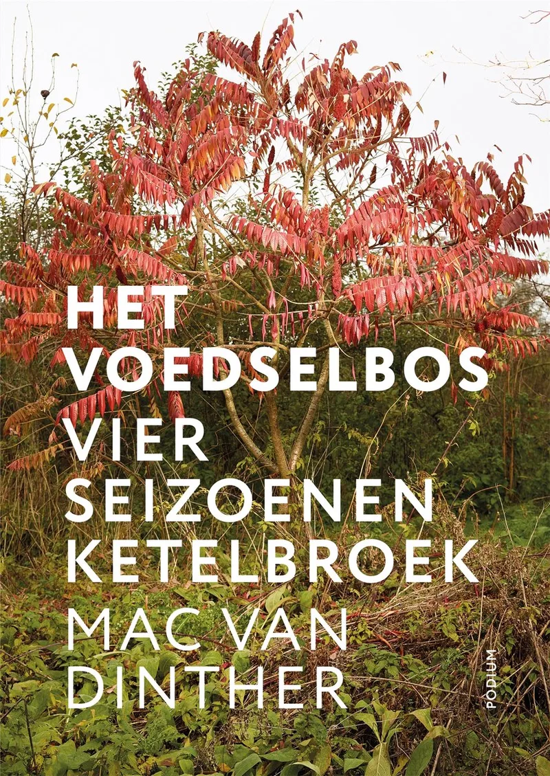 Het voedselbos fra Podium – billede af bogen