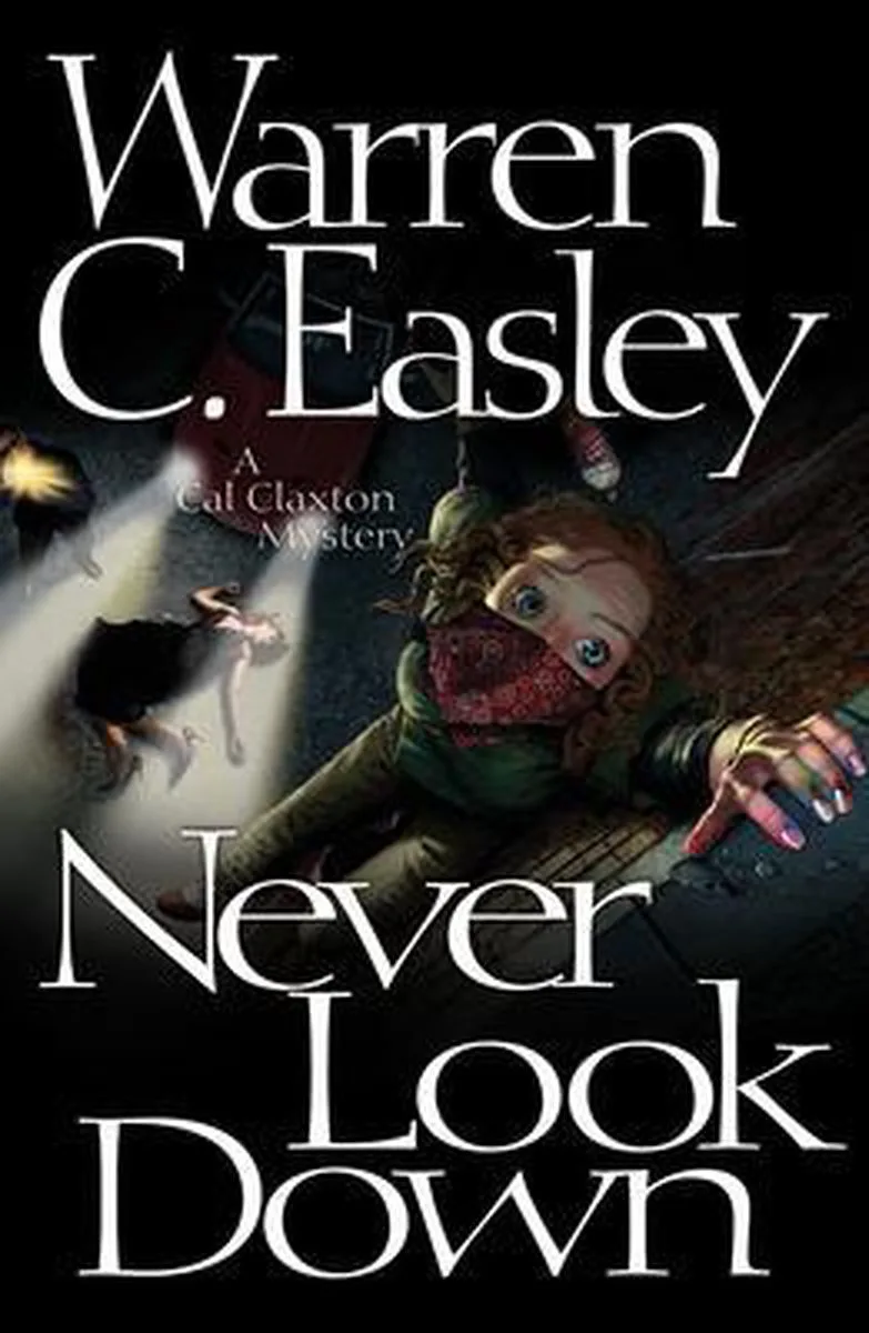 Never Look Down fra Poisoned Pen Press – billede af bogen