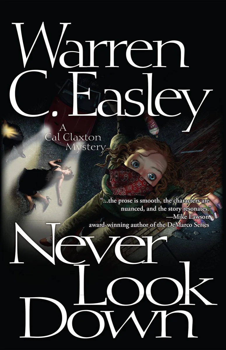 Never Look Down von Poisoned Pen Press – Buchfoto