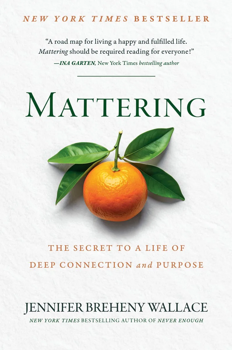 Mattering by Portfolio – book photo