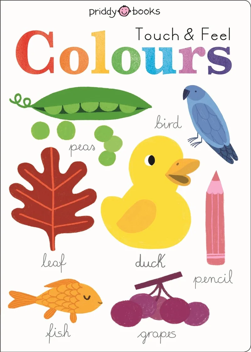 Learn & Explore- Colours von Priddy Books – Buchfoto