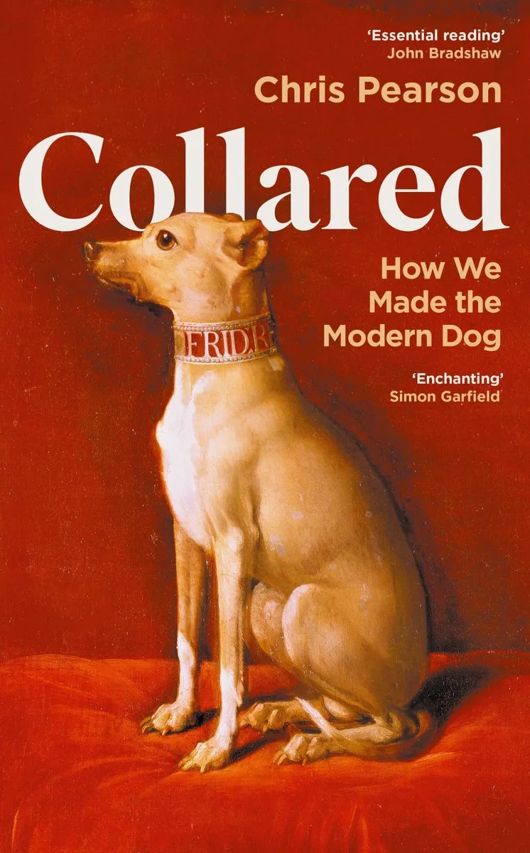 Collared fra Profile Books – billede af bogen