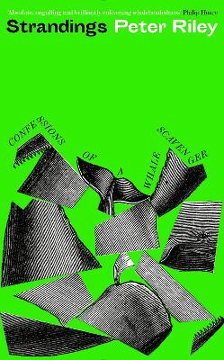 Strandings von Profile Books – Buchfoto