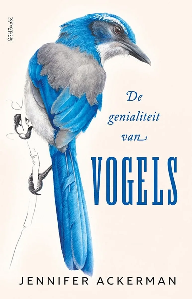 De Genialiteit van vogels von Prometheus – Buchfoto