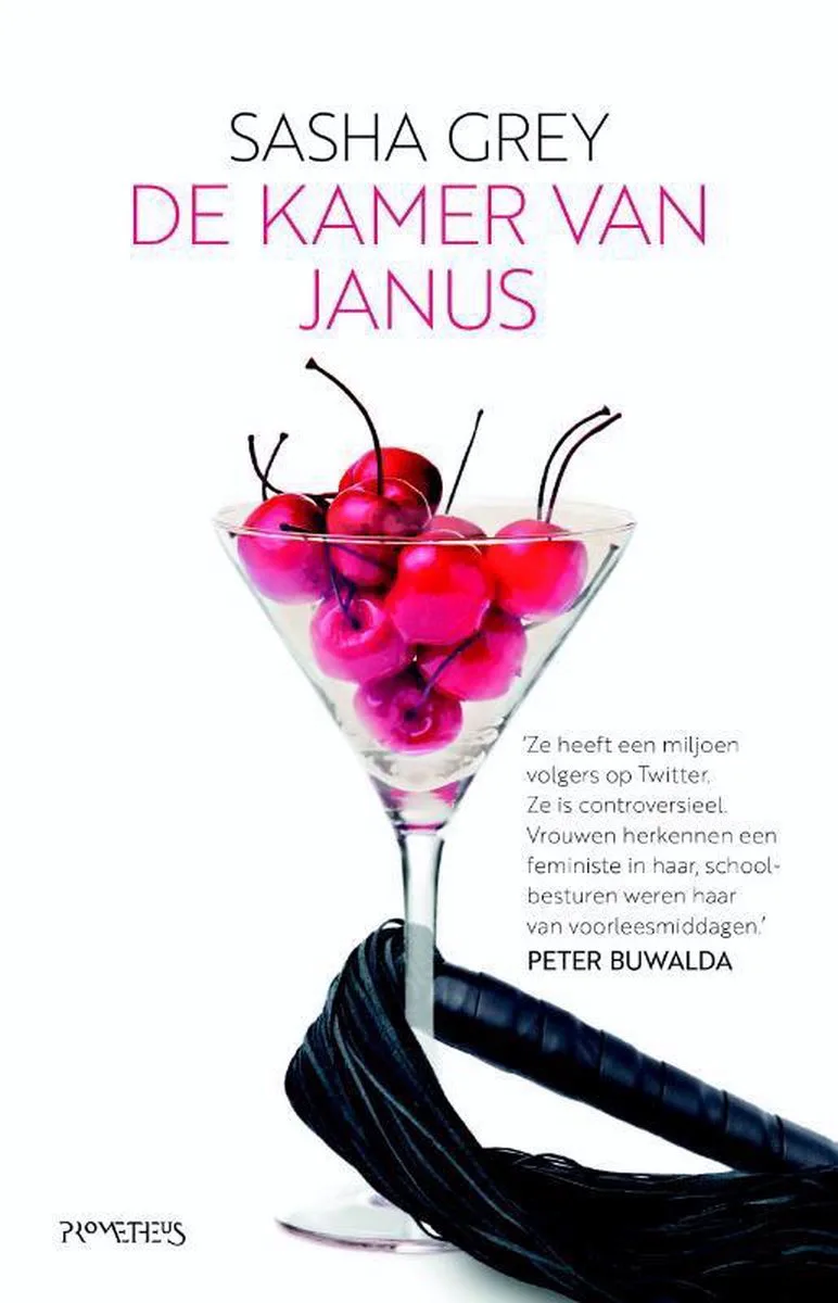 De kamer van Janus fra Prometheus – billede af bogen