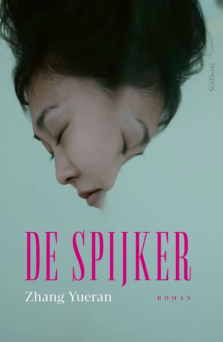 De Spijker von Prometheus – Buchfoto