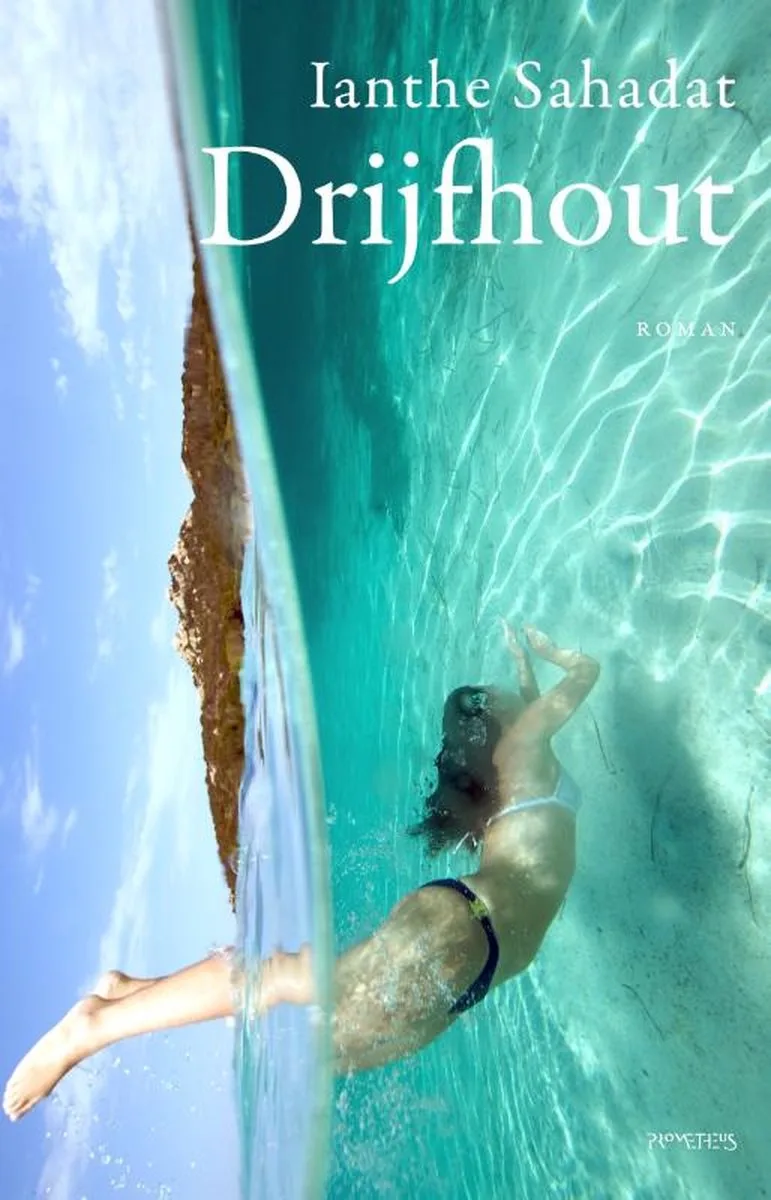 Drijfhout von Prometheus – Buchfoto