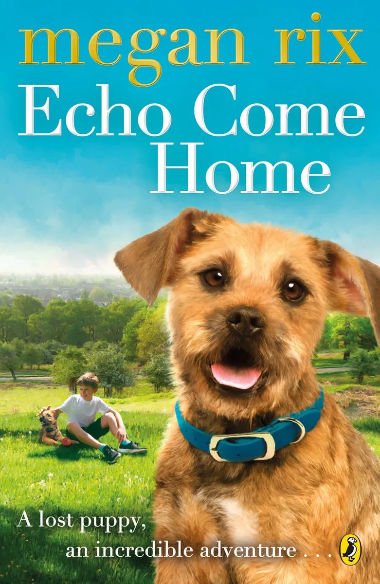 Echo Come Home von Puffin – Buchfoto