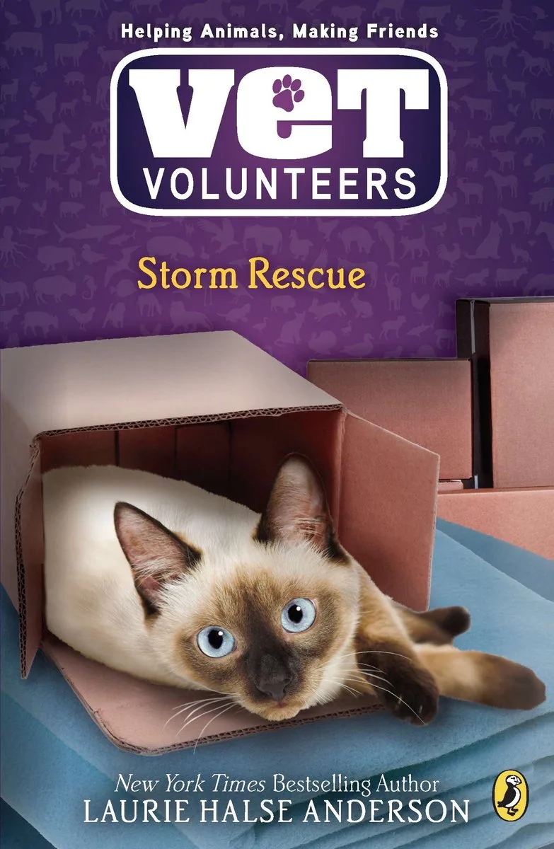Storm Rescue von Puffin – Buchfoto