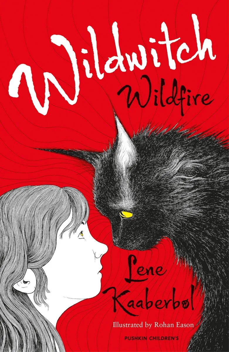Wildwitch Wildfire von Pushkin Press – Buchfoto