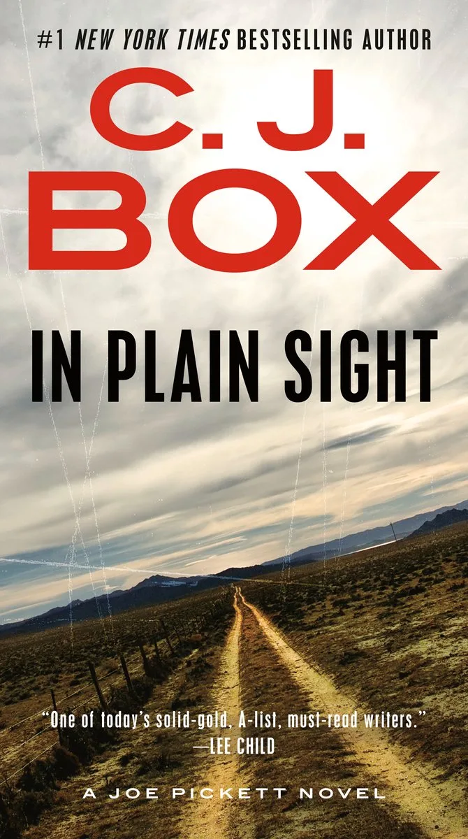 In Plain Sight von Putnam – Buchfoto