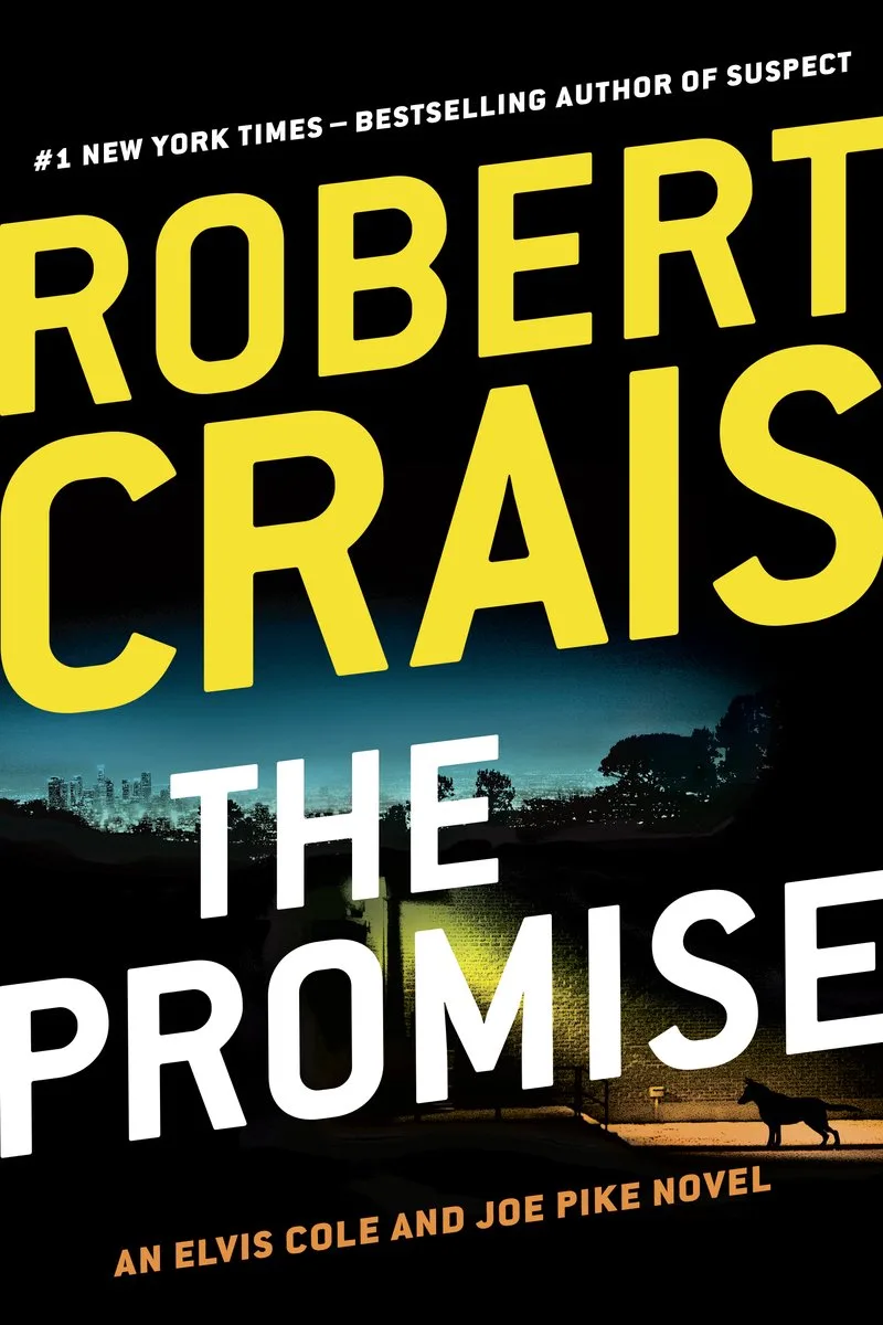 The Promise fra Putnam – billede af bogen