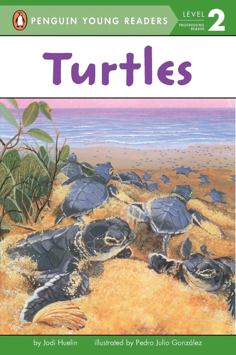 Turtles by Putnam – book photo