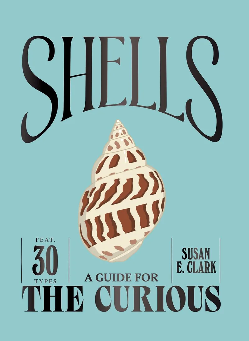 A Guide For the Curious- Shells von Quadrille – Buchfoto