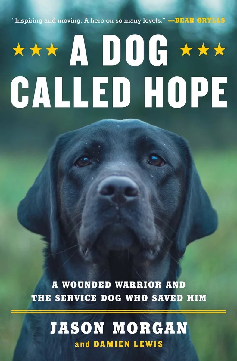 A Dog Called Hope von Quercus – Buchfoto