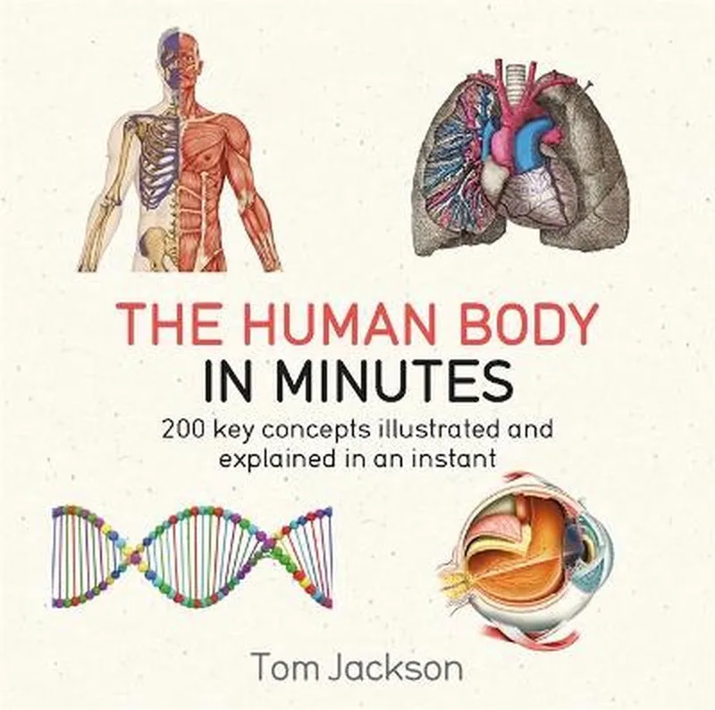 Human Body in Minutes von Quercus – Buchfoto