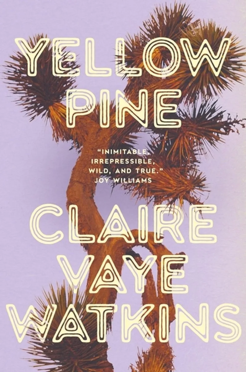 Yellow Pine de Quercus – photo du livre