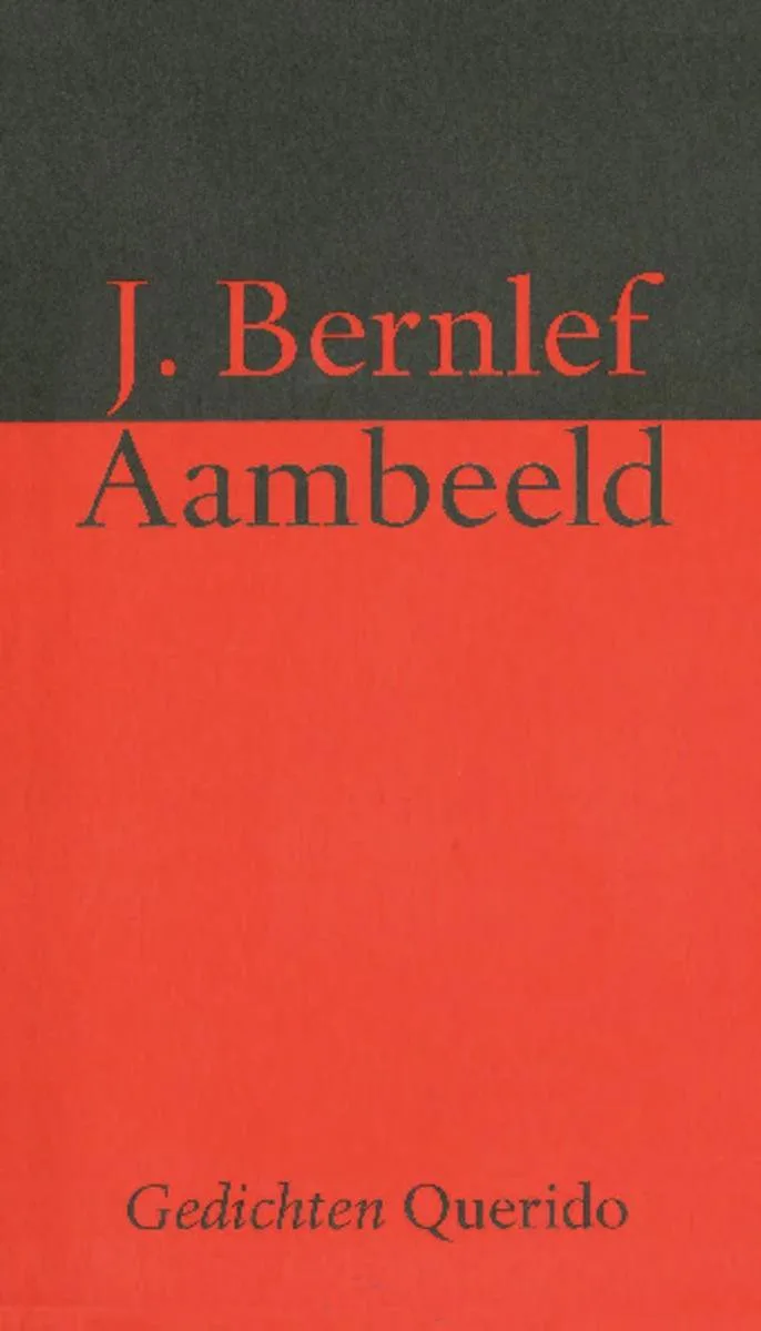 Aambeeld von Querido – Buchfoto