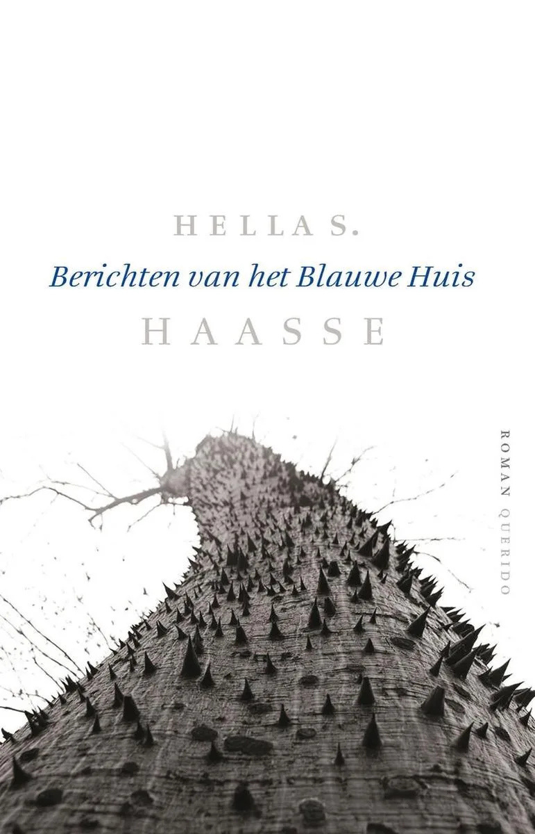 Berichten van het Blauwe Huis von Querido – Buchfoto