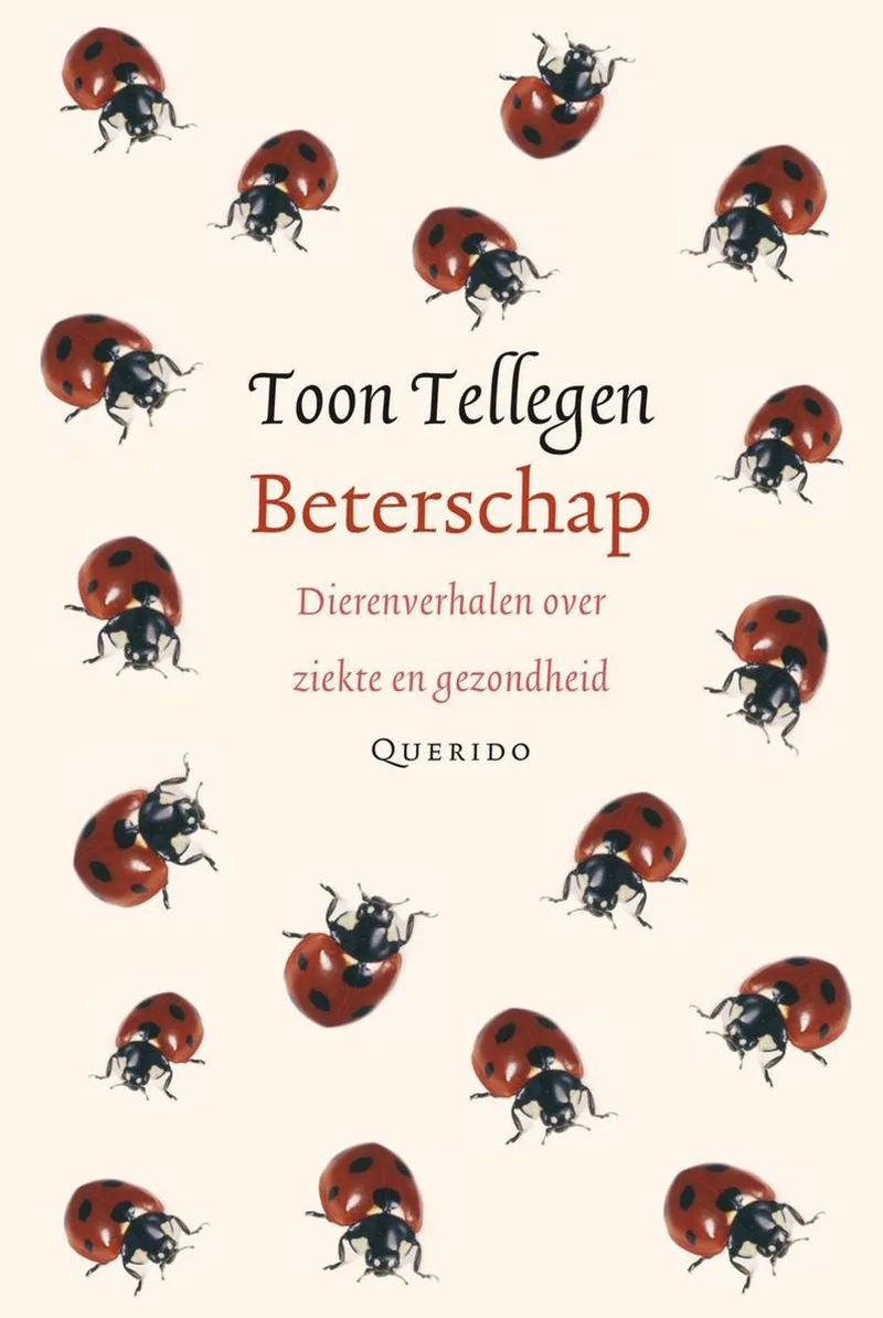 Beterschap från Querido – bokbild