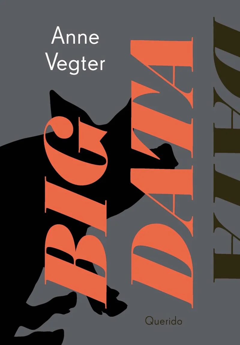 Big data by Querido – book photo