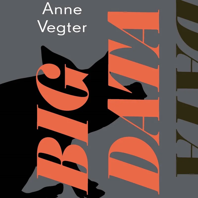 Big data von Querido – Buchfoto