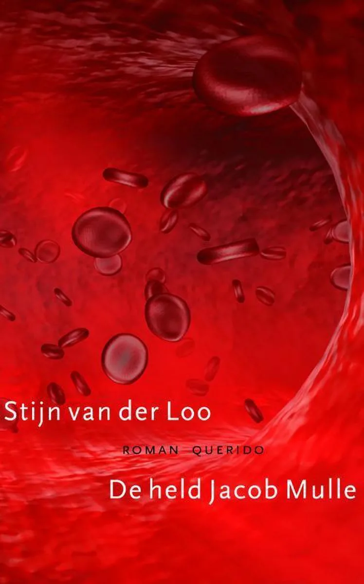 De Held Jacob Mulle von Querido – Buchfoto