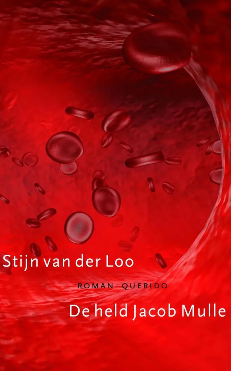De held Jacob Mulle von Querido – Buchfoto