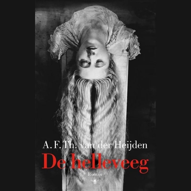 De helleveeg von Querido – Buchfoto